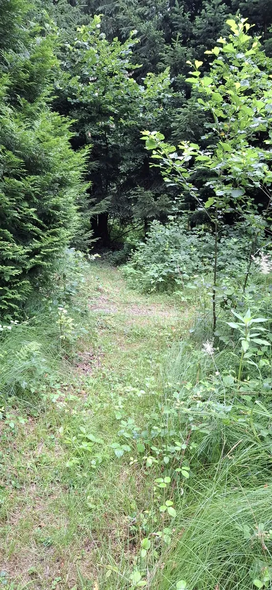 Freizeitgrundstück für Erholungssuchende mit Wasser - Ansicht 3