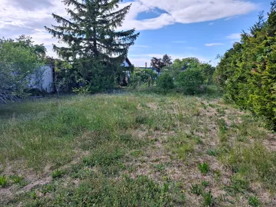 2-Zimmer-Haus kaufen in Wiener Neustadt Land – 80 m², € 469.000 – Bild 4 von 11