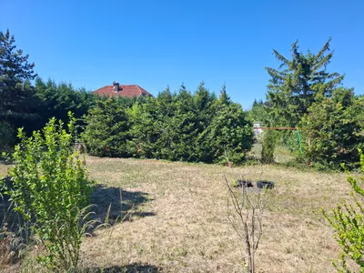 2-Zimmer-Haus kaufen in Wiener Neustadt Land – 80 m², € 469.000 – Bild 5 von 11