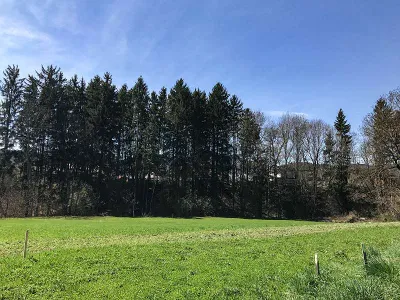 Grundstück zum Kauf in 9560 Feldkirchen