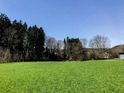 Immobilie kaufen in Feldkirchen – 1 000 m², € 69.000 – Bild 2 von 3