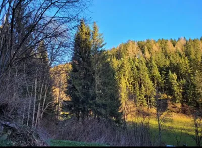 5-Zimmer-Wohnung kaufen in Weiz – 90 m², € 320.000 – Bild 22 von 24