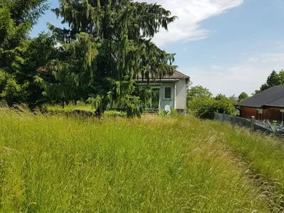Grundstück zum Kauf in 3400 Tulln