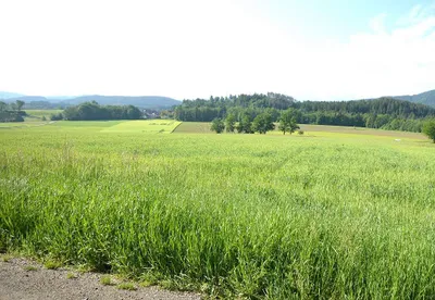 Grundstück kaufen in Feldkirchen – 980 m² – Bild 4 von 5