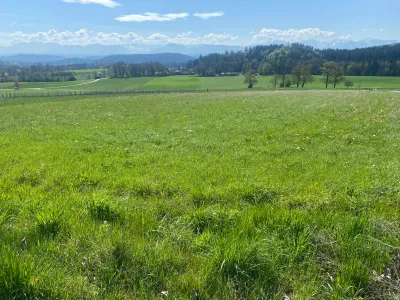Grundstück kaufen in Feldkirchen – 980 m² – Bild 3 von 5