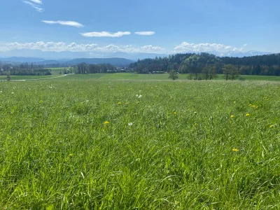 Grundstück kaufen in Feldkirchen – 980 m² – Bild 2 von 5
