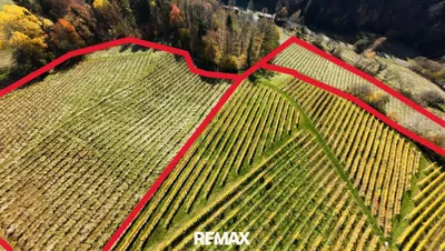 Immobilie kaufen in Leibnitz – 66 000 m², € 519.000 – Bild 6 von 15