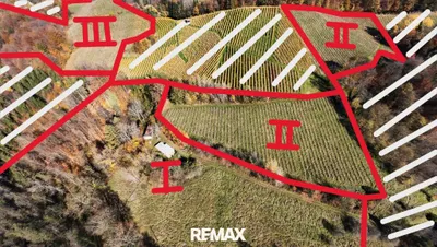 Immobilie kaufen in Leibnitz – 66 000 m², € 519.000 – Bild 3 von 15