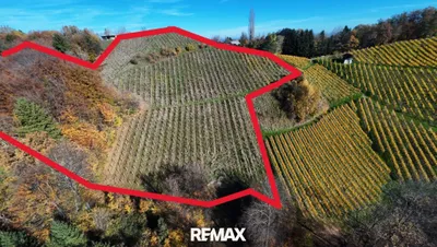 Immobilie kaufen in Leibnitz – 66 000 m², € 519.000 – Bild 8 von 15