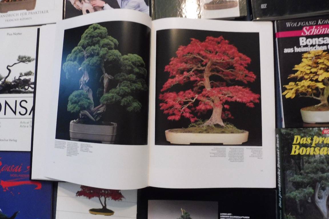 19. STK. TOLLE BONSAI BCHER AHORN SUISEKI BAUM BENZ PIUS NOTTER CHINA  JAPAN NATUR PROFI U. ANFNGER BONSAI TOP PREIS 270,  270,- (5020  Salzburg) - willhaben