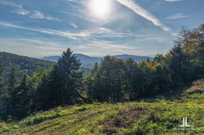 Grundstück zum Kauf in 8045 Graz