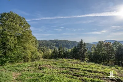 Grundstück kaufen in Graz – 1 125 m², € 427.500 – Bild 2 von 4