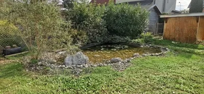 7-Zimmer-Haus mieten in Wels-Land – 182 m², € 1.950 – Bild 17 von 18