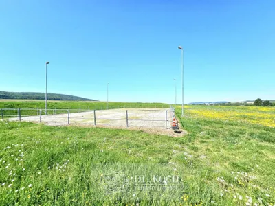 10-Zimmer-Immobilie kaufen in Sankt Pölten Land – 500 m², € 2.490.000 – Bild 8 von 47