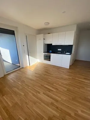 Ab 1.10. - Klimatisierte 1-1/2-Zimmer-Dachgeschoßwohnung mit Fernblick am Genochplatz