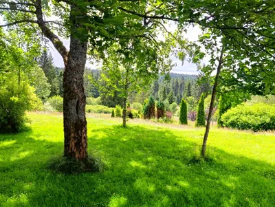 4-Zimmer-Haus mieten in Rohrbach – 170 m², € 1.290 – Bild 24 von 34