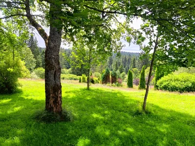 4-Zimmer-Haus mieten in Rohrbach – 170 m², € 1.290 – Bild 27 von 34