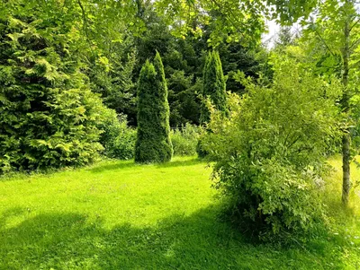 4-Zimmer-Haus mieten in Rohrbach – 170 m², € 1.290 – Bild 30 von 34
