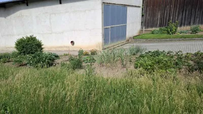 3-Zimmer-Immobilie kaufen in Hollabrunn – 110 m², € 210.000 – Bild 31 von 36