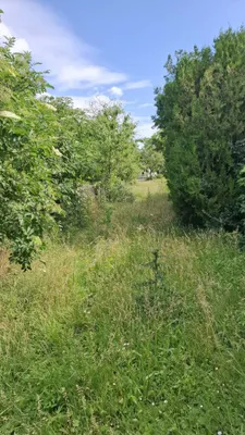 3-Zimmer-Immobilie kaufen in Hollabrunn – 110 m², € 210.000 – Bild 32 von 36