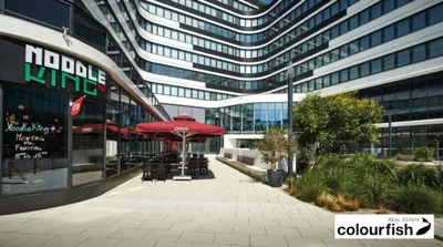 Gewerbeimmobilie mieten in Bruck an der Leitha – 267 m², € 5.797 – Bild 4 von 20