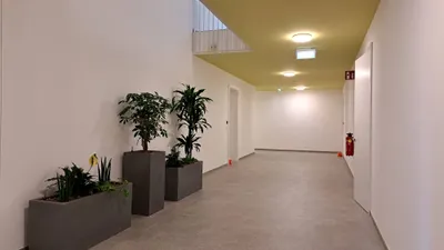 4-Zimmer-Gewerbeimmobilie mieten in Neusiedl am See – 101,46 m², € 681 – Bild 8 von 10