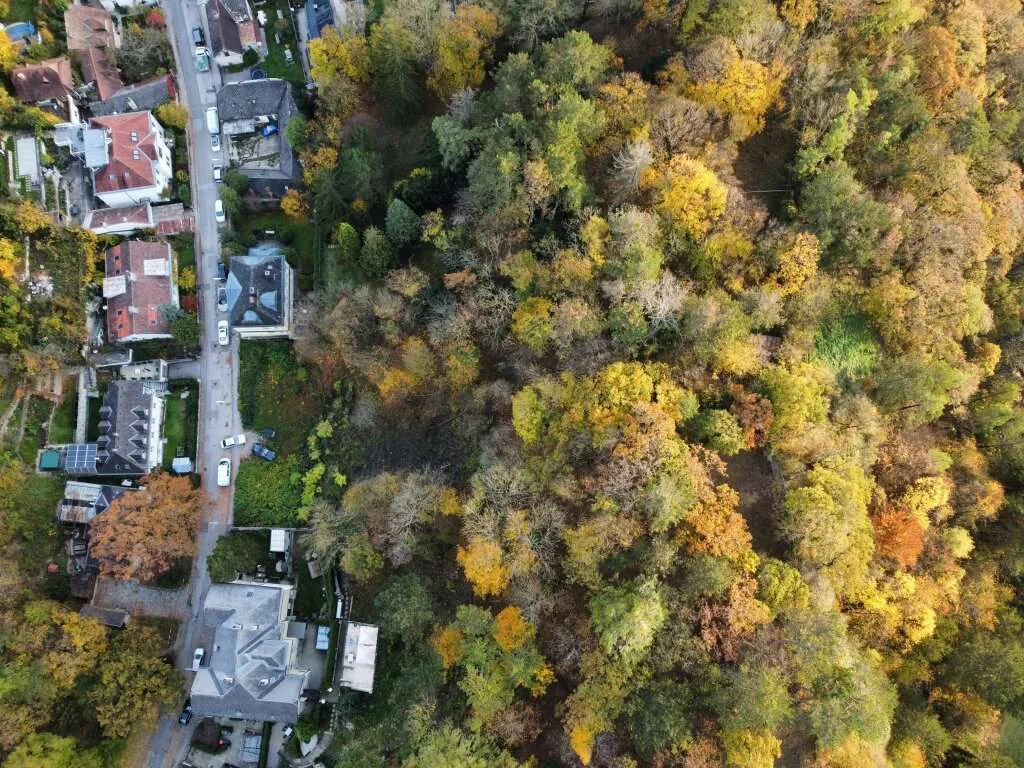 NATURLIEBHABER! Großer Baugrund in außergewöhnlicher Villen-Waldrandage am Rande des Lainzer Tiergartens! Naturschutzgebiet - Ansicht 3