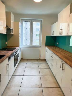 PROVISIONSFREIE - neu sanierte großzügige 2 Zimmer Wohnung
