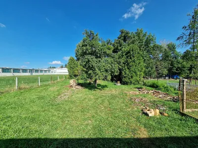 3-Zimmer-Haus mieten in Waidhofen an der Thaya – 83 m², € 780 – Bild 12 von 14
