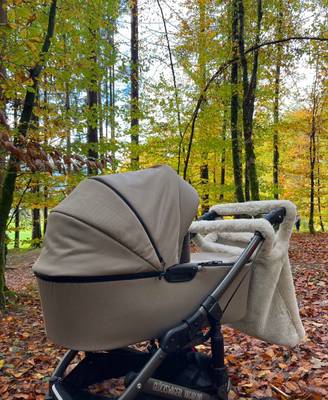 dünger für buchenhecken Purgrün Buchenhecke-Dünger 1 kg main image 1