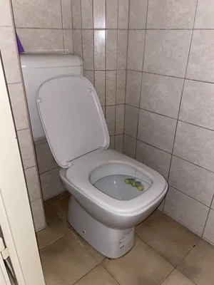 1-Zimmer-Wohnung mieten in Wien – 45 m², € 805 – Bild 21 von 30