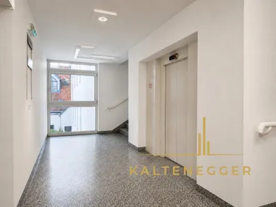 3-Zimmer-Gewerbeimmobilie mieten in Wien – 97 m², € 1.416 – Bild 11 von 16
