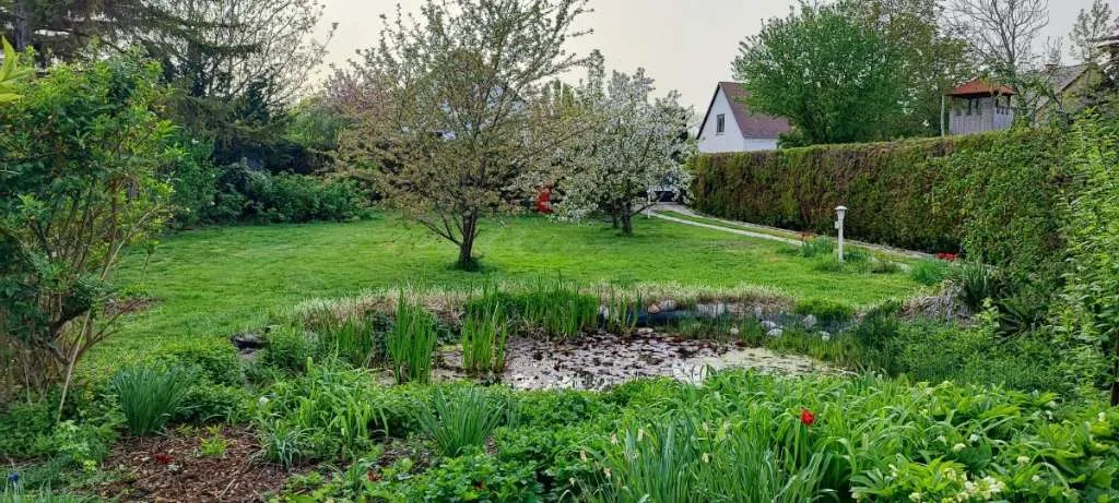 Gepflegtes Einfamilienhaus in idyllischer Grünlage mit vielseitigem Potenzial - Ansicht 3