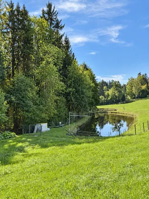 7-Zimmer-Immobilie kaufen in Rohrbach – 200 m² – Bild 13 von 16