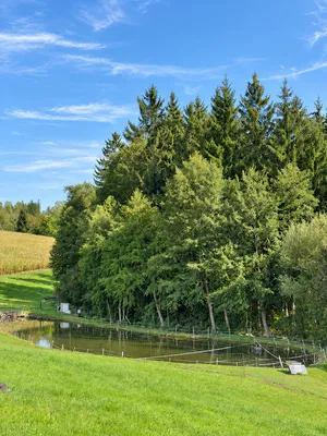 7-Zimmer-Immobilie kaufen in Rohrbach – 200 m² – Bild 12 von 16