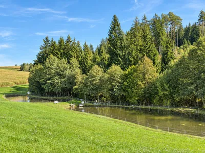 7-Zimmer-Immobilie kaufen in Rohrbach – 200 m² – Bild 11 von 16