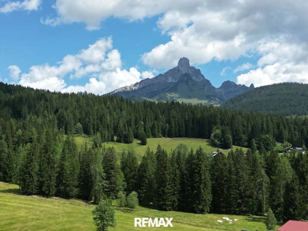 Baugrundstück mit Dachsteinblick - 1.000 m² Lebensqualität in Filzmoos - Ansicht 3