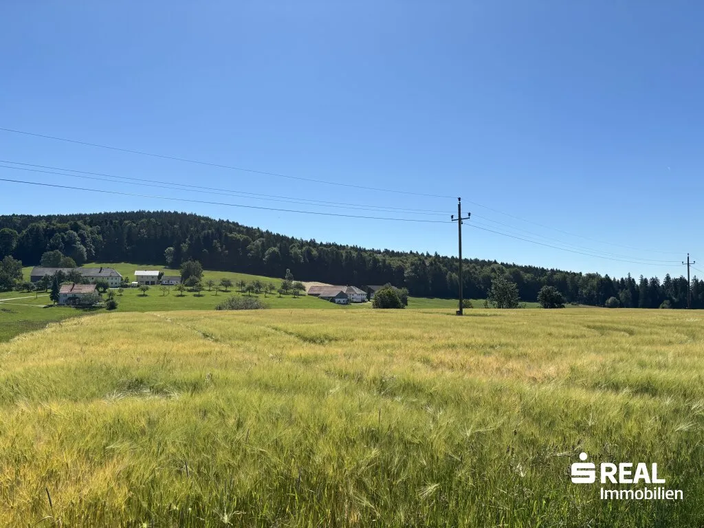 Betriebsbaugrund in Schwarzenberg - Ansicht 2