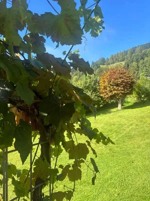 4-Zimmer-Wohnung mieten in Kitzbühel – 120 m², € 1.900 – Bild 3 von 30