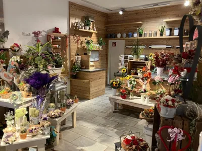 Gewerbeimmobilie kaufen in Hallein – 387 m², € 703.000 – Bild 3 von 6
