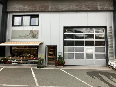 Gewerbeimmobilie kaufen in Hallein – 387 m², € 703.000