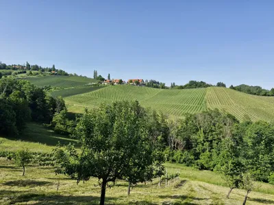 Grundstück kaufen in Gmunden – 44 000 m², € 27 – Bild 3 von 3