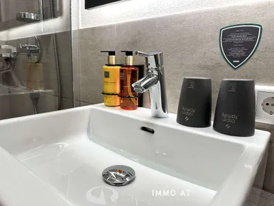 3-Zimmer-Wohnung kaufen in Zell am See – 59,67 m², € 470.000 – Bild 4 von 19
