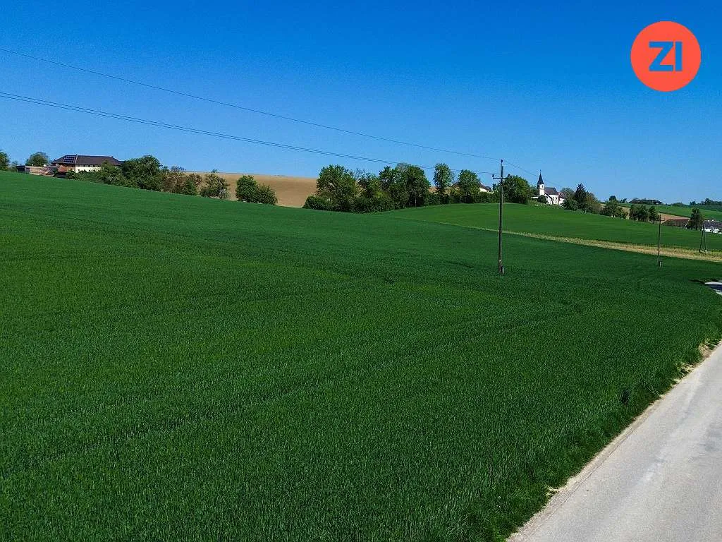 Pucking: Blockbohlenhaus mit sonnigem Freizeitgrundstück in ruhiger, idyllischer Lage! - Ansicht 3