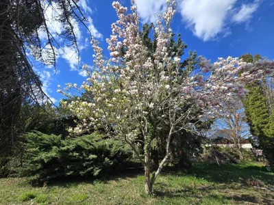 3-Zimmer-Haus kaufen in Gänserndorf – 37,5 m², € 449.000 – Bild 6 von 8