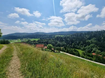 Grundstück kaufen in Voitsberg – 1 300 m², € 60.000 – Bild 5 von 6