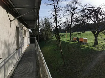 2-Zimmer-Wohnung mieten in Bregenz – 40,5 m², € 825 – Bild 7 von 11