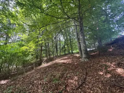 Grundstück kaufen in Hartberg-Fürstenfeld – 8 333 m², € 132.000 – Bild 8 von 14