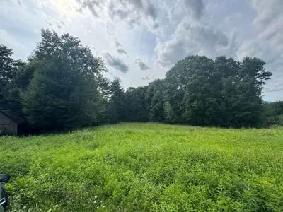 Grundstück kaufen in Hartberg-Fürstenfeld – 8 333 m², € 132.000 – Bild 4 von 14