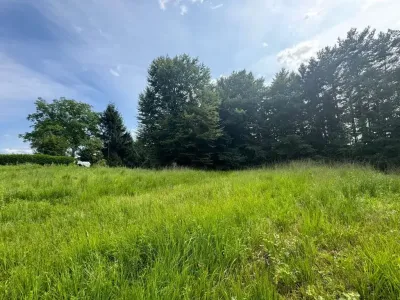 Grundstück kaufen in Hartberg-Fürstenfeld – 8 333 m², € 132.000 – Bild 6 von 14